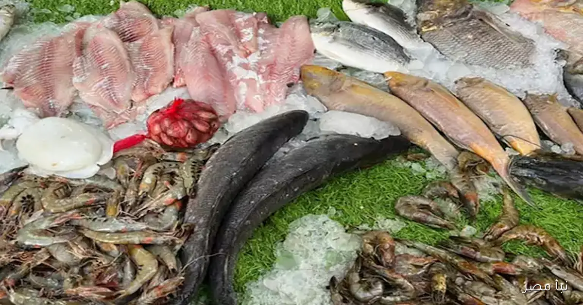 أسعار السمك والمأكولات البحرية في سوق العبور اليوم 70 جنيها لكيلو البلطي